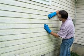 Best Vinyl Siding Installation  in Yaeyville, NC